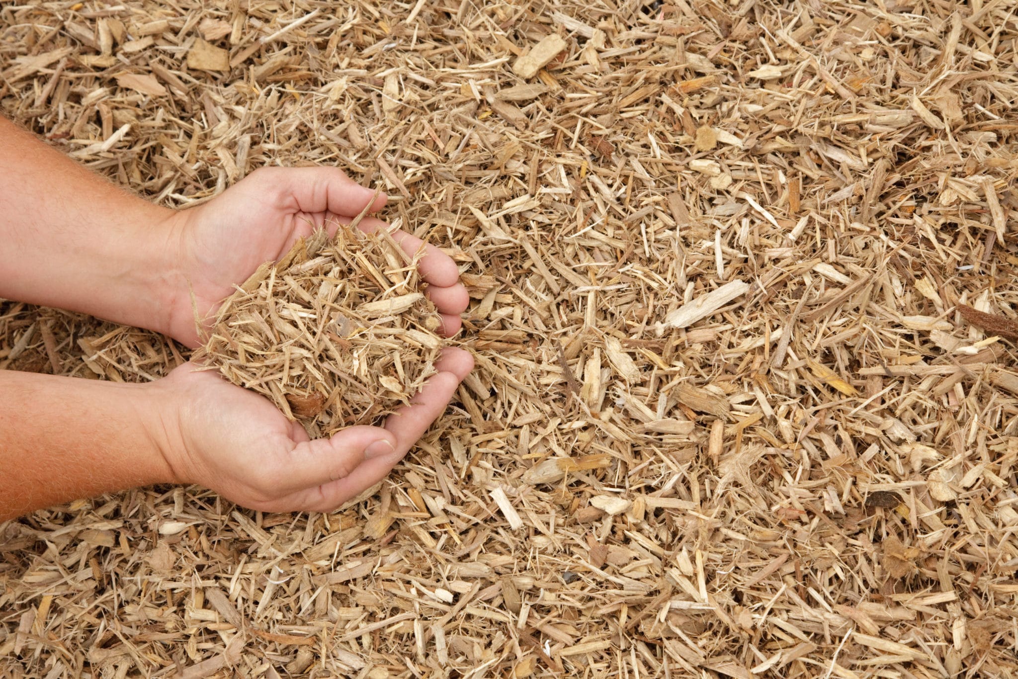 Playground Mulch In Lebanon PA Zimmerman Mulch   Playground Mulch 2048x1366 