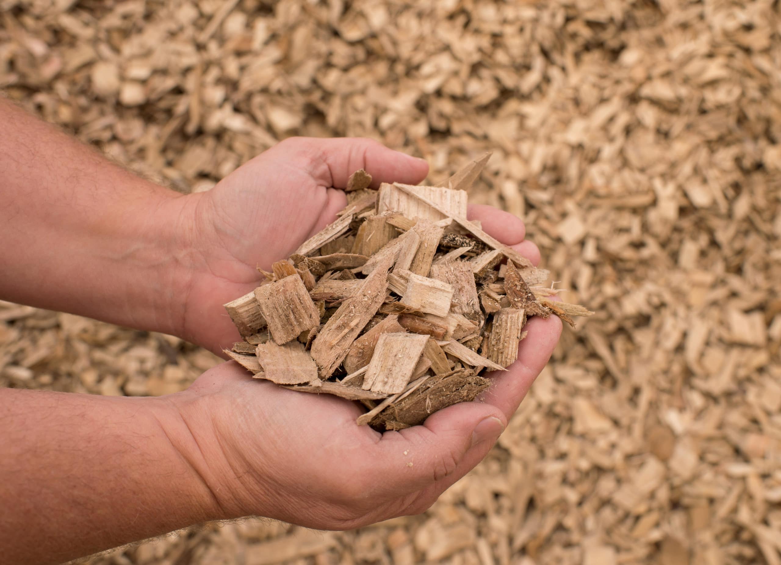 Wood Chips in Lebanon, PA - Zimmerman Mulch
